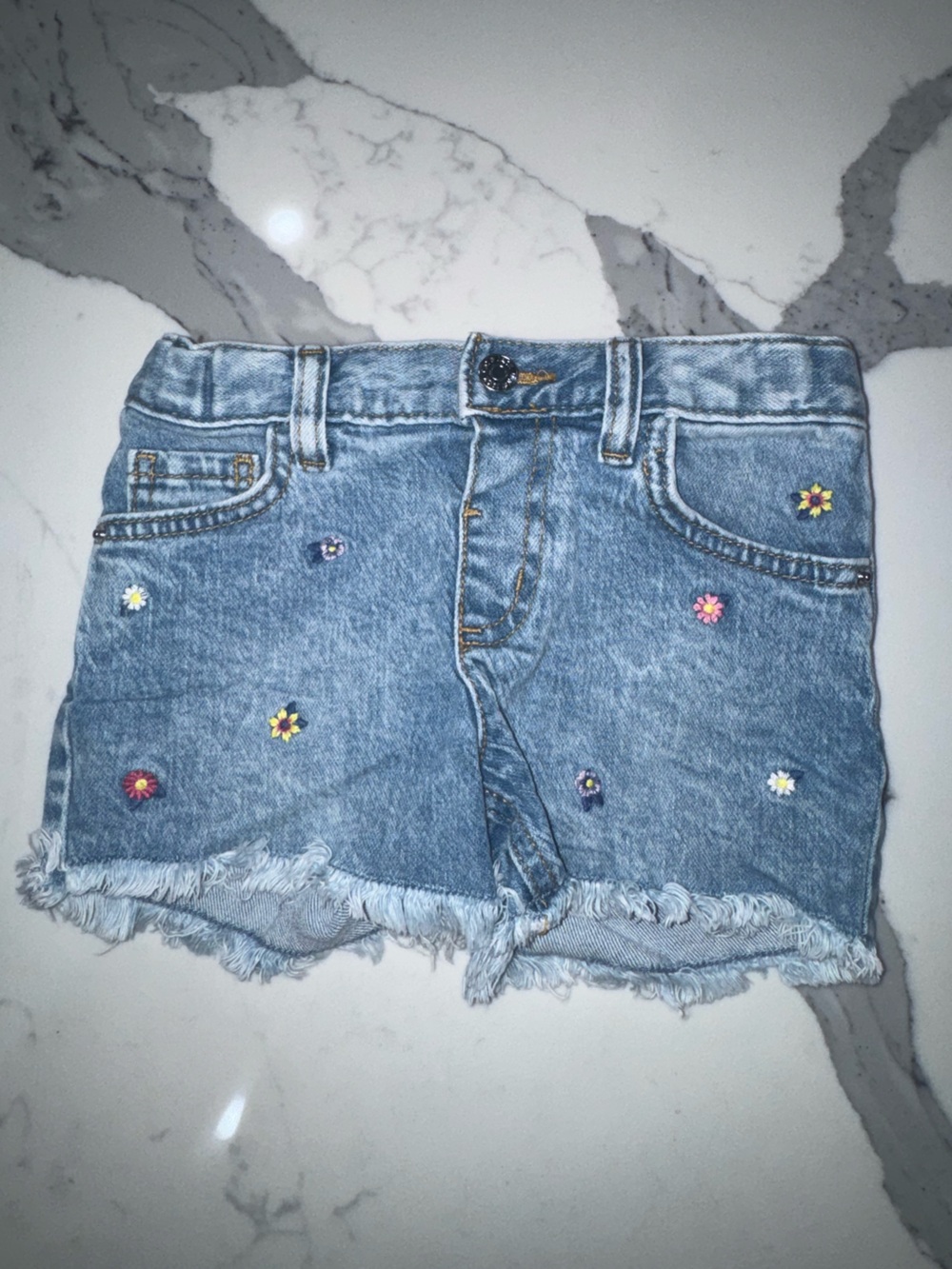 Cat & Jack Denim Shorts with Multicolor Floral Embroidery